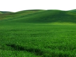 草原草地