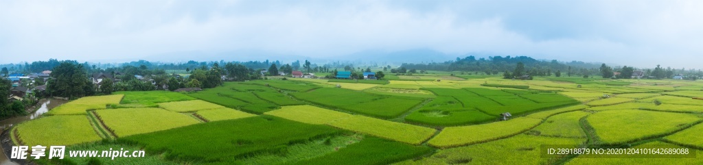 田地农田