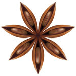 香料 调料