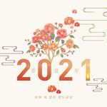 2021元素