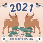 2021元素