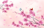 手绘樱花