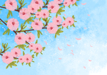 手绘樱花