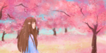 手绘樱花