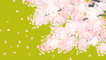 手绘樱花