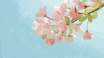 手绘樱花