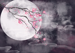 手绘樱花