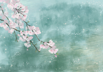 手绘樱花