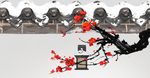 樱花