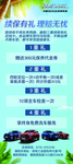 汽车保险 续保有礼四重礼展架