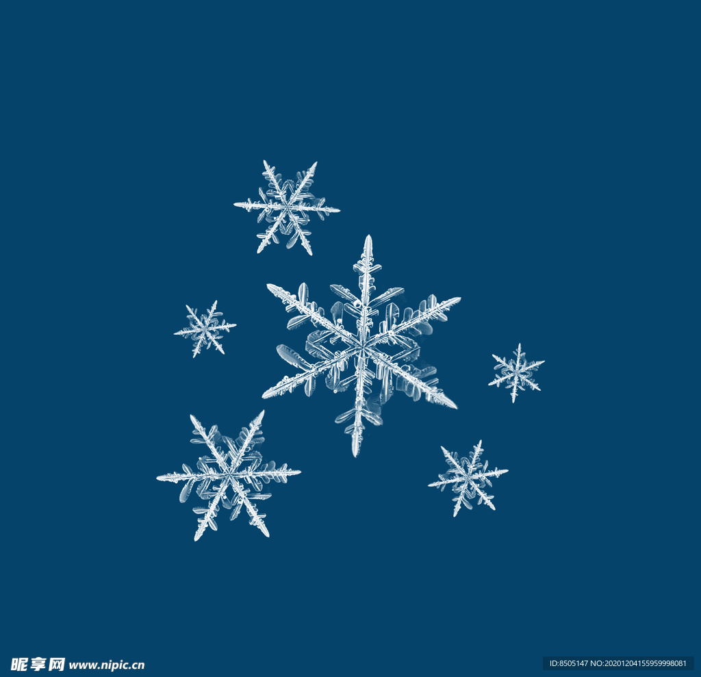 雪花