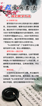 书法招生海报