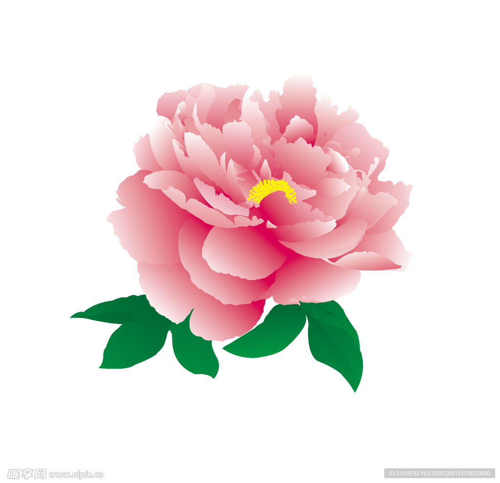手绘牡丹素材