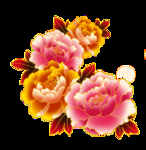 牡丹花插画素材