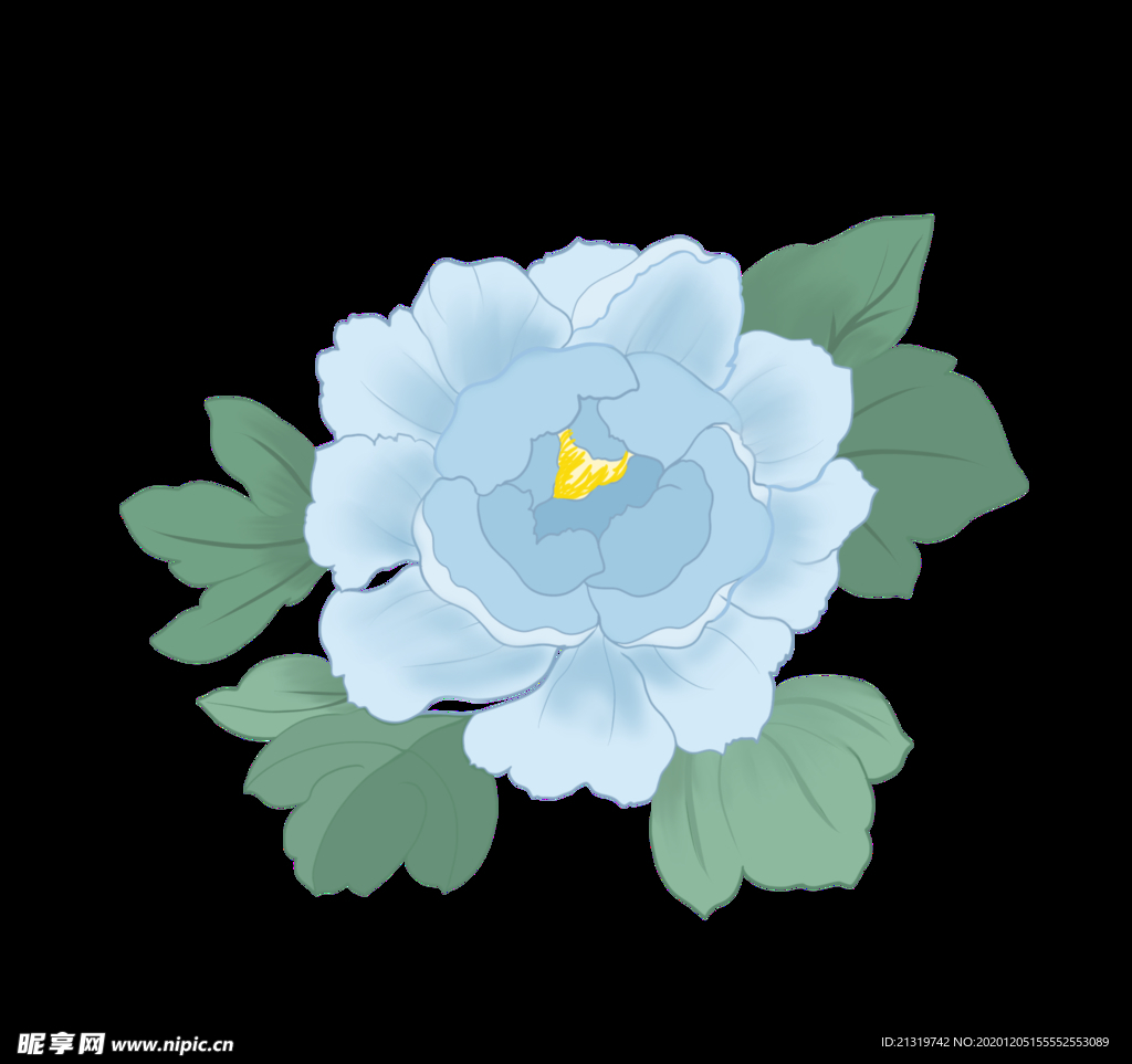 牡丹花素材
