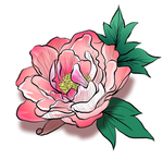 手绘牡丹插画