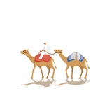 撒哈拉沙漠骆驼队
