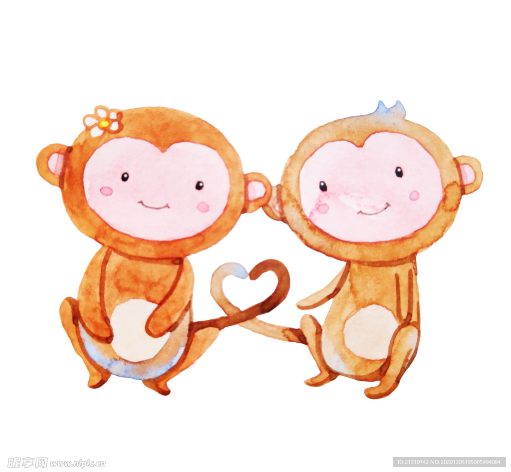 猴子情侣插画