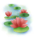 红色莲花荷叶插画