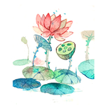 粉色莲花莲蓬手绘图