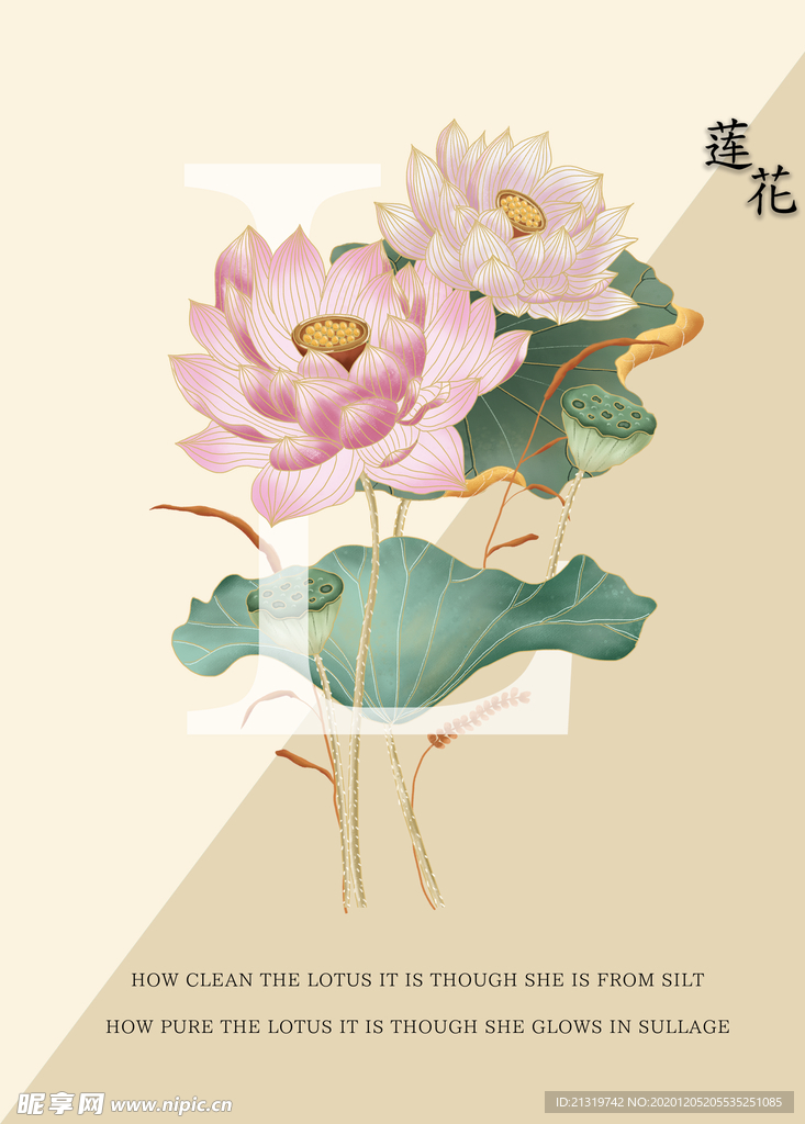 莲花插画海报