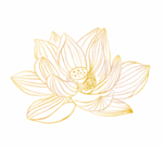 荷花线稿插画