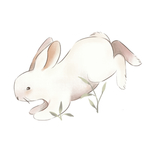 手绘兔子