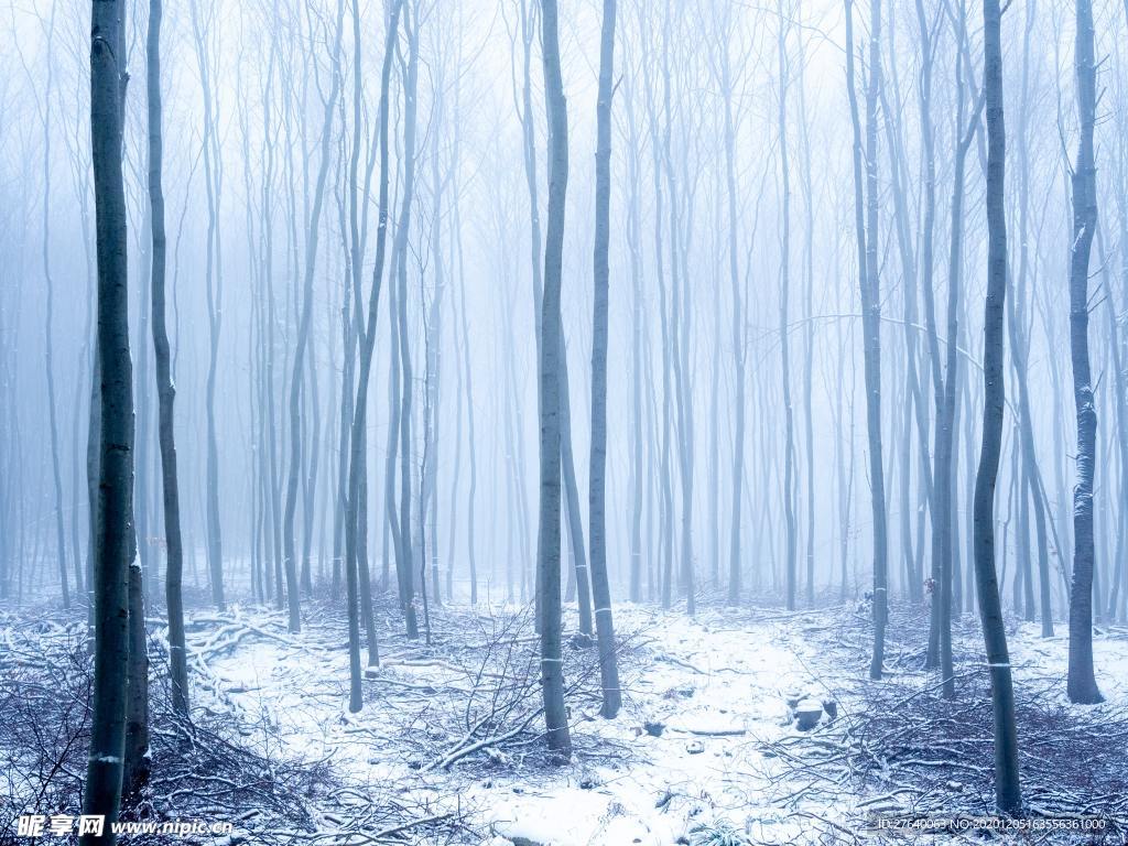 雪景图片