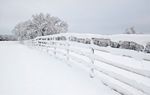 雪景图片