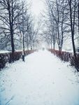雪景图片