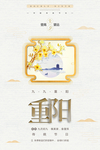 海报模板
