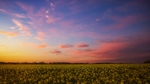 春季夕阳景观