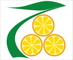 橘子  素材
