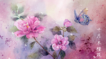 木槿花