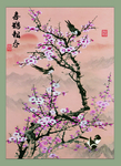 喜鹊报春