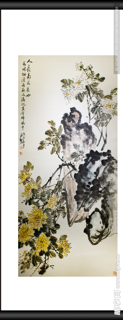 菊花