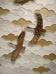 飞鸟