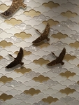 飞鸟