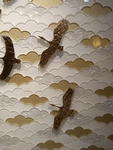 飞鸟