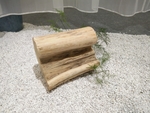 木头