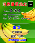 批发香蕉 美食 水果 优惠卡