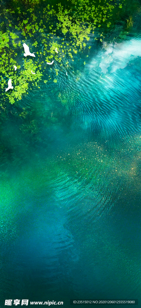 地产活动创意设计