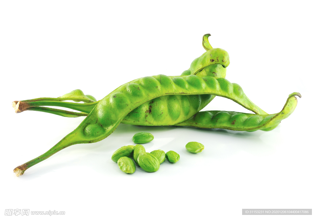 豆子