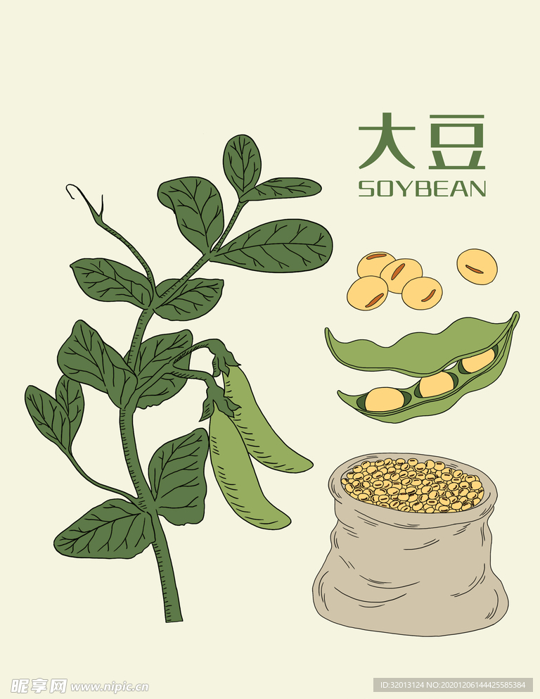 手绘大豆麻袋豌豆植物素材