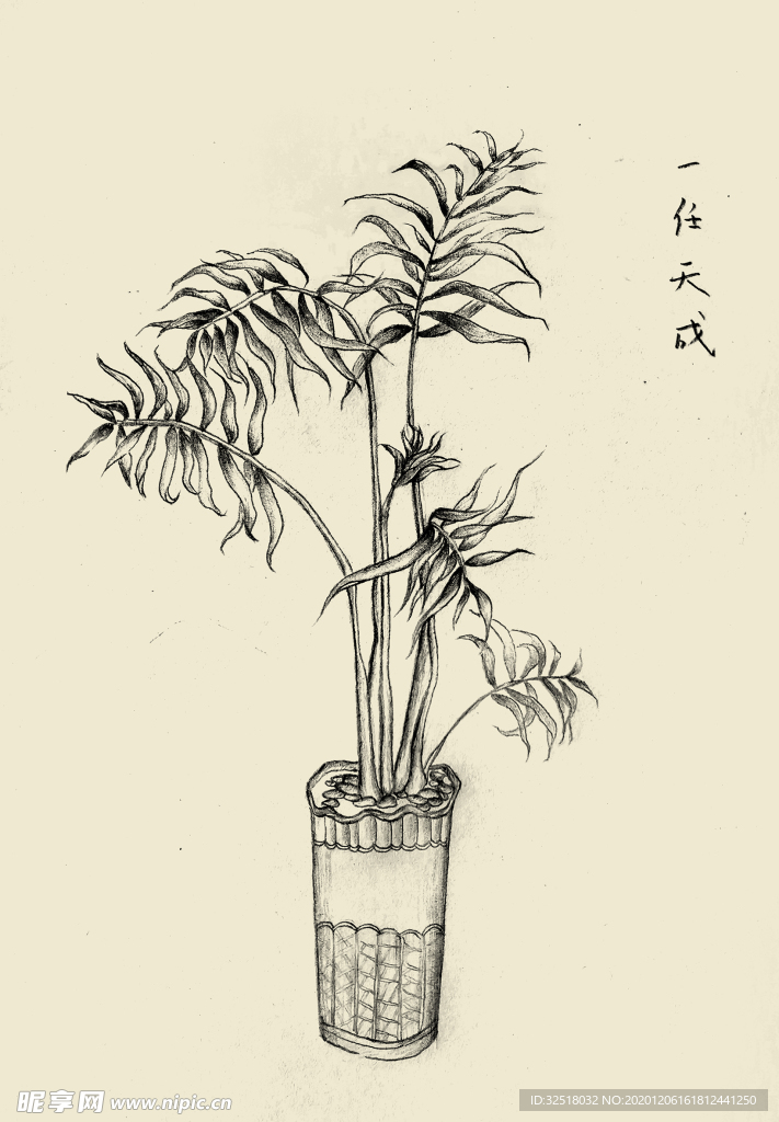 手绘盆景