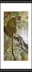 老虎