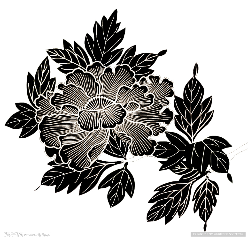 手绘花