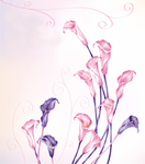 彩绘花