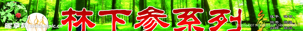 林下参
