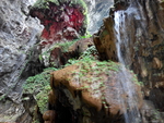 旅游区